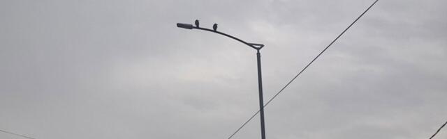 Tri ulice u Gornjem Stopanju sutra bez struje