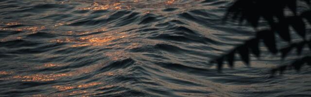 U najvećem jezeru u Severnoj Irskoj otkrivene superbakterije otporne na antibiotike