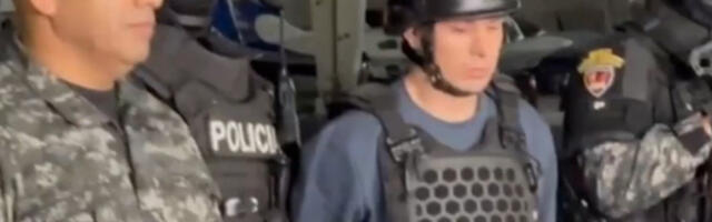 Мали вук изручен с кацигом и панцирoм