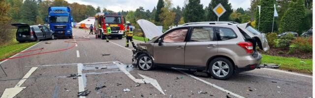 Haos u Nemačkoj: Mravi poremetili semafor i izazvali sudare u Karlsruheu