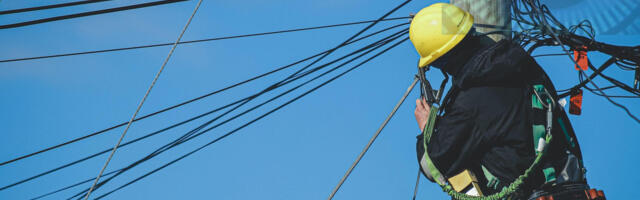 Petrović (SRCE): SNS bez papira seče kablove i bandere Jotela