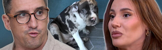 SKANDALOZNO! Isplivao izveštaj koji je Kristijan Golubović podneo veterinaru nakon optužbi za zlostavljanje psa - "Bilo je sve u redu, a sada..."