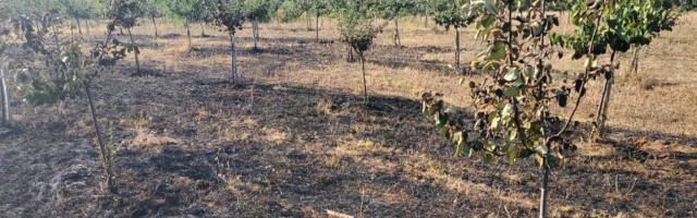 Još bez procene štete od požara koji je zahvatio dva sela kod Gadžinog Hana