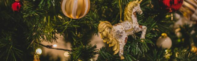 Biramo NAJLEPŠE UKRAŠEN DOM u Kragujevcu povodom Nove Godine - Evo kako da nam dostavite fotografije