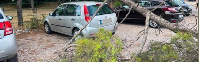 (VIDEO, FOTO) Vetar čupao drveće, jak grad tukao 10 minuta: Nezapamćeno nevreme pogodilo Podgoricu
