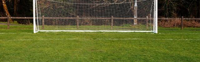 Neviđeno: Lopovi ukrali gol sa stadiona