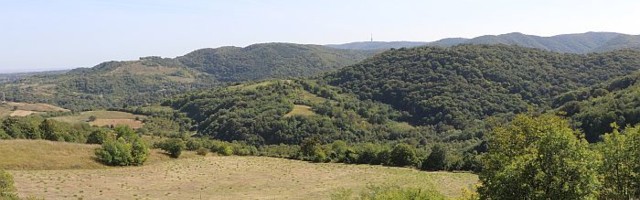 Stojaković: Fruškogorski koridor će motivisati stanovništvo da se ne iseljava i smanjiti zagađenje Fruške gore