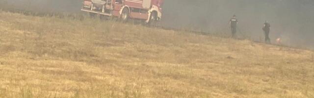 Muškarac nastradao u požaru kod Kragujevca!  Pokušao da ugasi vatru koju je sam zapalio, a onda je planulo 20 hektara šume!