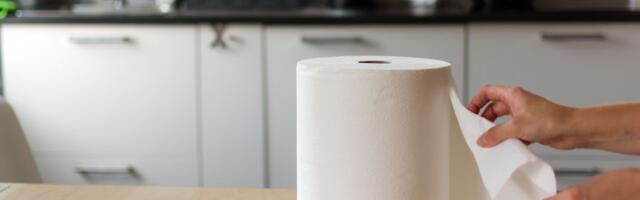 Zbog ovog proizvoda ljudi prestaju da kupuju kuhinjske ubruse: Traje godinama i štedi novac