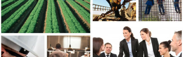 TRŽIŠTE RADA U SRBIJI SE POTPUNO PROMENILO! Traže se radnici iz OVIH oblasti, suvim zlatom ih plaćaju!