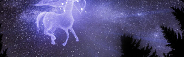 NJIMA SE MOŽE PROMENITI ŽIVOT IZ KORENA: Na ova četiri znaka će mlad mesec najsnažnije uticati