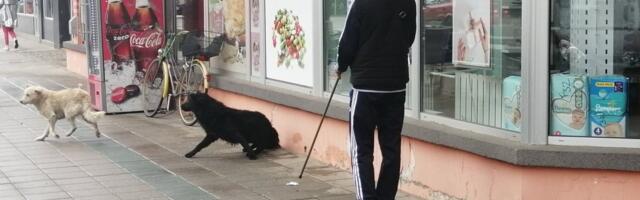 Ovako u Šapcu rešavaju problem s napuštenim psima