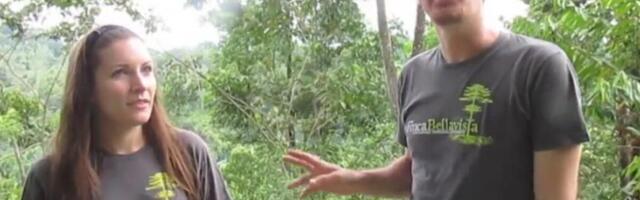 Bračni par već 10 godina živi u DŽUNGLI! Napravili kućicu na drvetu dok im DIVLJE ŽIVOTINJE svaki dan... (VIDEO)