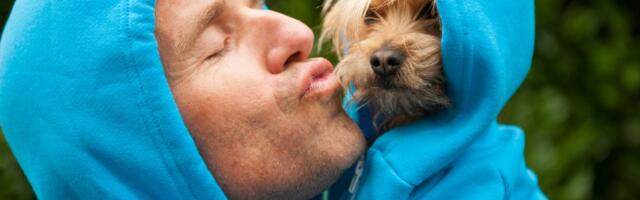 One su prirodne, iskrene, ne zamaraju i ne varaju: Životinje ruše rekorde popularnosti na internetu