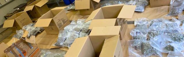 ZAPLENJENO 90 KILOGRAMA MARIHUANE Hapšenje na graničnom prelazu Šid (VIDEO)