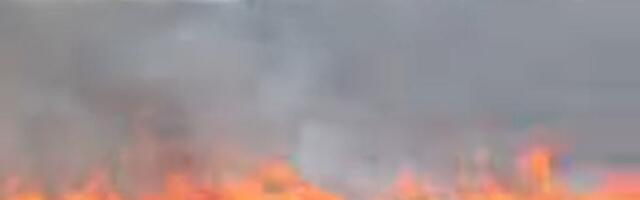 HAOS na Moravskom koridoru: Požar guta sve pred sobom! (VIDEO)