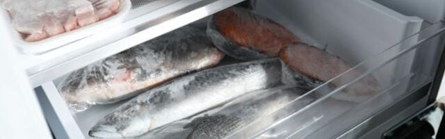 Hitno upozorenje! Povlači se skuša zbog opasne supstance