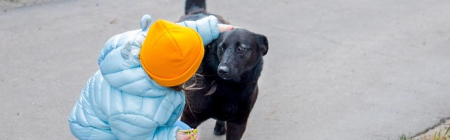 Ljubav za decu koja su na najgenijalniji način pomogla psu iz kraja