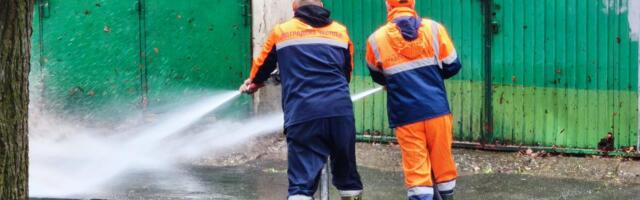 HEROJ IZ KRAGUJEVCA SPASAO NEMOĆNO BIĆE OD JEZIVE SMRTI! Marko čistio kontejnere, a onda u sekundi prekinuo rad PRESE: Ono što je ugledao u smeću slama srce!