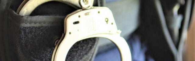 Ухапшен мушкарац у Суботици због покушаја убиства мајке и бабе