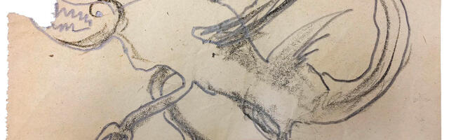 Stari savski most i Amarkord