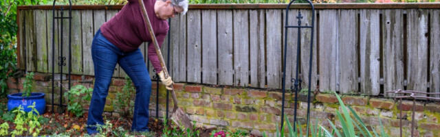 HTELA JE DA POSADI CVEĆE, KOPALA JE U DVORIŠTU I UDARILA O NEŠTO! Kada je shvatila o čemu se radi, vrisnula je i pozvala pomoć: "Da li treba da se zabrinem?" (VIDEO)