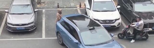 VIDEO: Čuvala parking mesto za muža - pogledajte kako ju je vozač nadmudrio