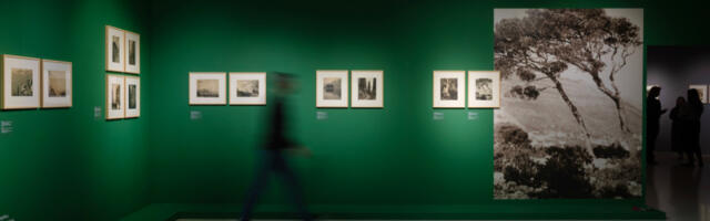 Program obeležavanja Dana državnosti u Muzeju savremene umetnosti u Beogradu i druga februarska javna vođenja i prateći programi