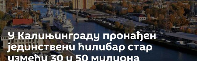 У Калињинграду пронађен јединствени ћилибар стар између 30 и 50 милиона