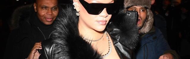 PUCNJAVA ISPRED VILE TRUDNE PEVAČICE (38) Bila u kući za vreme incidenta, metak probio zid