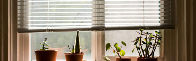 Dnevni horoskop za 6. april: Ovnovima se otvara prilika, Vagama gest partnera vraća osmeh