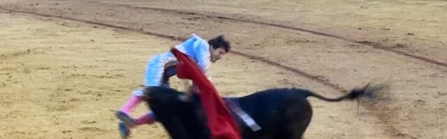 "NAJGOREG MATADORA NA SVETU" BIK BRUTALNO PROBOO! Uznemirujući snimak: Razjarena zver zarila rog duboko u meso, ali to NIJE NAJGORE (VIDEO)