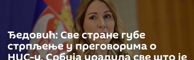 Ђедовић: Све стране губе стрпљење у преговорима о НИС-у, Србија урадила све што је до ње