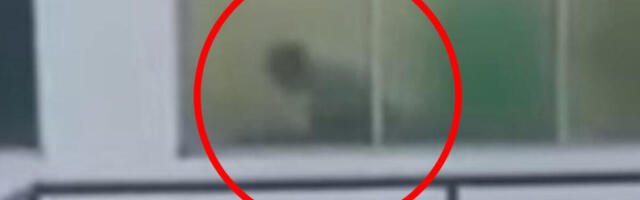 Divlji intimni odnosi nasred raskrsnice: Toliko su se napalili, da nisu marili za prolaznike! (FOTO)