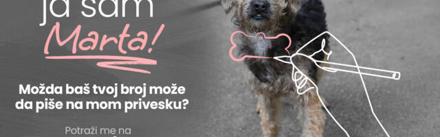 Marta traži dom: možda si je već video?
