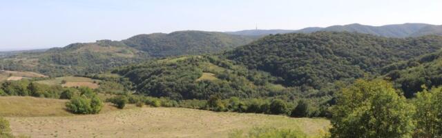 Dobrotvorna "Šetnja za Kosmet" u nedelju na Fruškoj gori