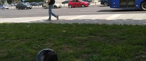 Slike Beograda: I u Pionirskom parku nalepnica “studenti pobeđuju”