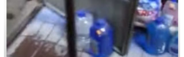 Pobegla džinovska zmija, vlasnik ne zna gde je otišla, službe češljaju svaki ćošak!