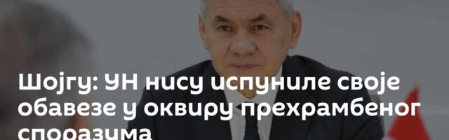 Шојгу: УН нису испуниле своје обавезе у оквиру прехрамбеног споразума