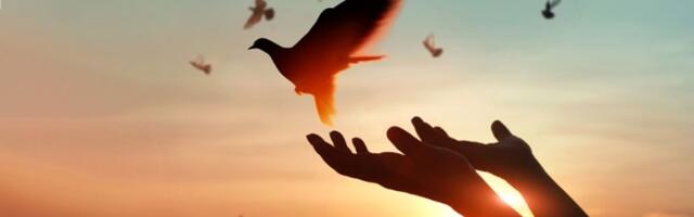 "Ako hoćemo državu blagostanja, moramo pitati ljude kako su"