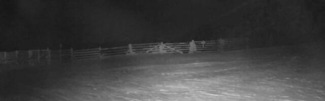 Више људи се изгубило на Бјелашници