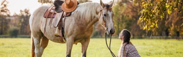Devojka promenila boju kose, a REAKCIJA njenog KONJA postala hit na TikToku sa 2,1 milion pregleda