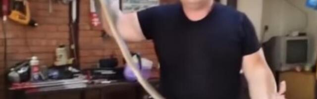 Domaćica pobegla od straha kada je videla GRDOSIJU: Vladica rešio problem za tili čas, pogledajte ZMIJURINU (VIDEO)