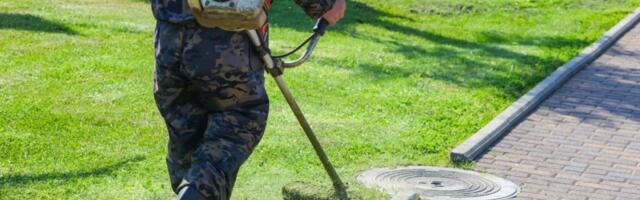 Tajna savršenog travnjaka: 5 stvari kako da vam dvorište postane zeleni tepih
