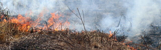 Dolini Neretve preti katastrofa, vatra guta sve pred sobom: Gori zaštićeni rezervat, slike su strašne