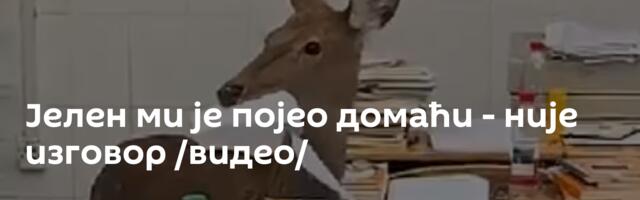 Јелен ми је појео домаћи - није изговор /видео/