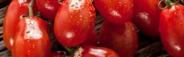 Svi ga stalno jedemo! Hitno povučen italijanski paradajz - HAPIH upozorava na ultra opasan pesticid