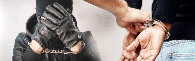 Uhapšeni lopovi! Pljačkali na Vračaru i Novom Beogradu!