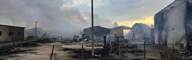 Vatrogasci primili 1200 poziva zbog požara, tri osobe povređene (FOTO)