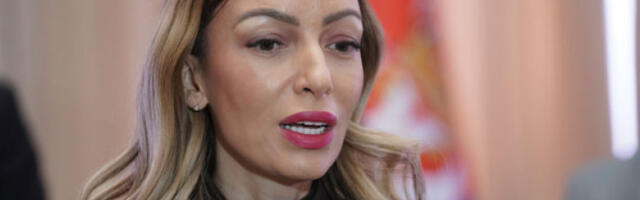 Mesarović: Pokrenut program podrške izvoznim kompanijama vredan 400 miliona dinara